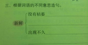 邻居的居怎么组词造句