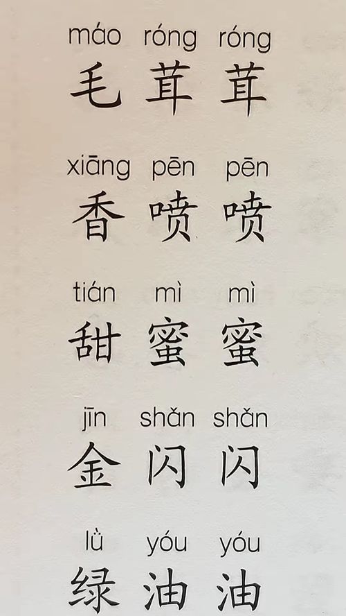 簋怎么读拼音和组词