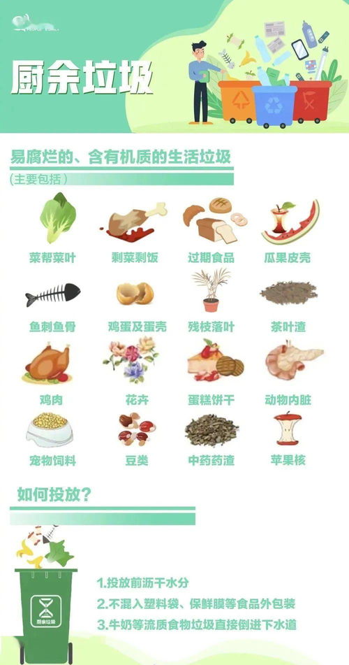 垃圾分类可以怎么组词