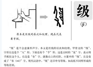 枳怎么组词