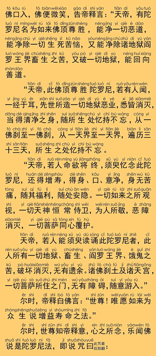 尊组词