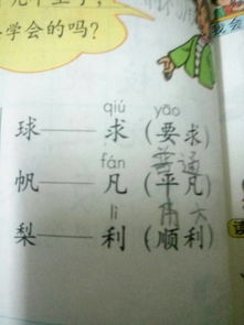 力字组词有哪些