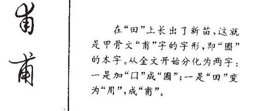 异类的意义可以怎么组词
