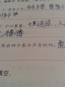 牺牲的牺字怎么组词