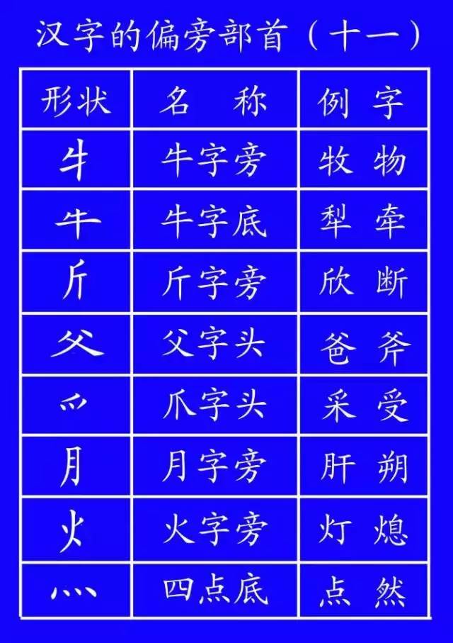 补的正确组词怎么写