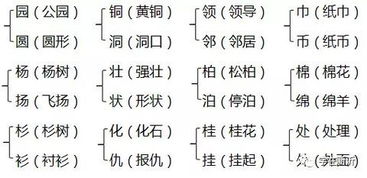 似字怎么组词