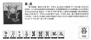 的横怎么组词