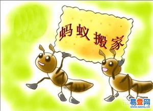 蚂蚁怎么搬家组词造句