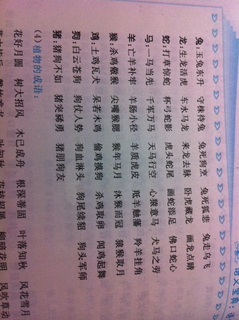 句化的狗怎么组词