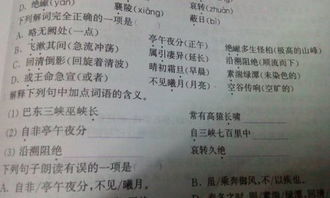 铅组词组