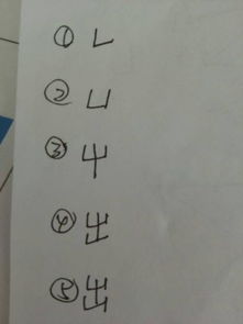 序笔画和组词怎么写