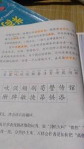 促怎么组词语