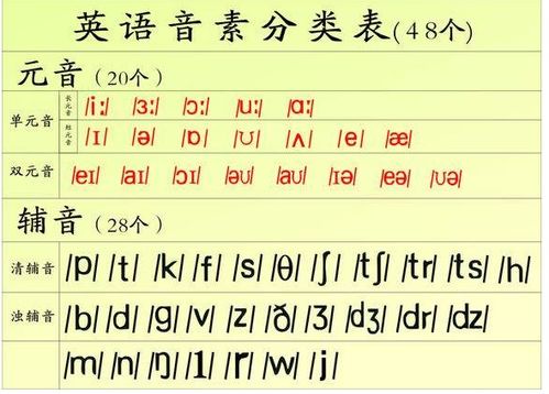 猪的英语怎么组词呀