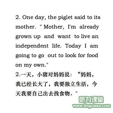 猪的英语怎么组词呀