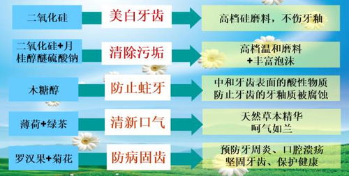 宝健的宝怎么组词
