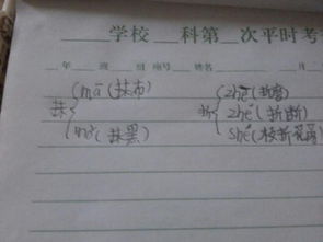 佳在后面怎么组词