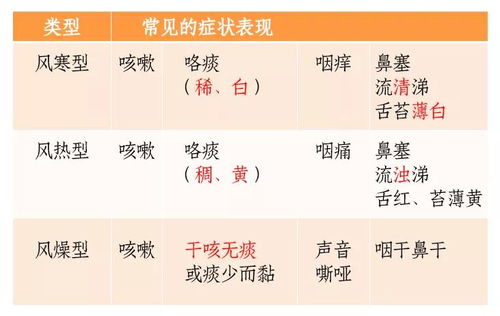 炖该怎么组词