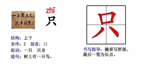 用浮出水面组词怎么造句