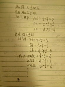 1aabb怎么组词