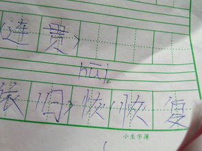 恢怎么组词