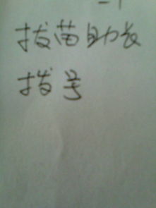 拨和拔组词