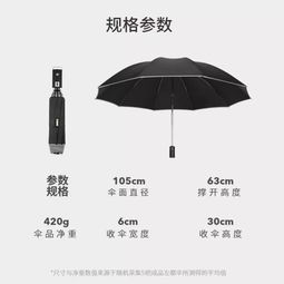 闪电的伞可以怎么组词