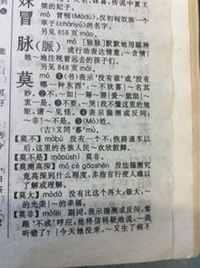 用懿怎么组词