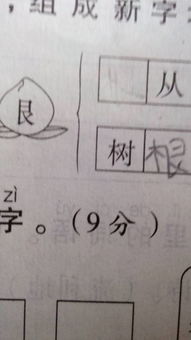 从怎么组词呀