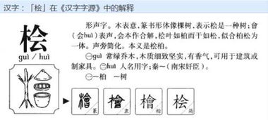 木字旁的曈怎么组词