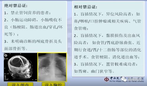 你的鼻子怎么组词啊