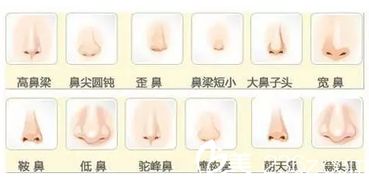 你的鼻子怎么组词啊