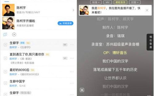 汪字用美貌怎么组词