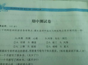 项怎么读拼音组词 项怎么读拼音组词