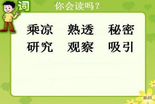 土怎么组词语
