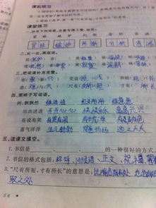 扒着的扒怎么组词