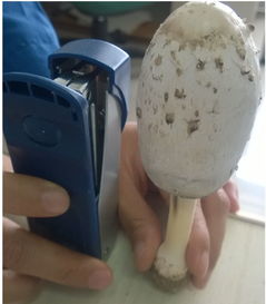 祺怎么组词