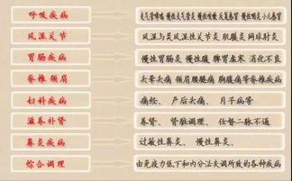 院开头怎么组词呀