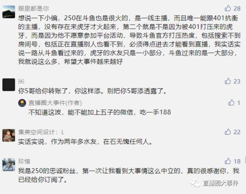 新的石怎么组词
