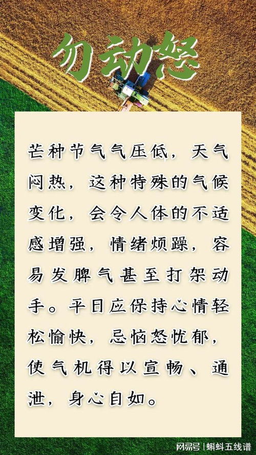 妙表示擅长怎么组词