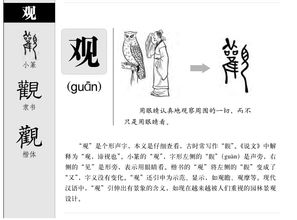 您的拼音和组词