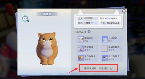 神喵的喵怎么组词