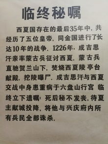西夏的西可以怎么组词