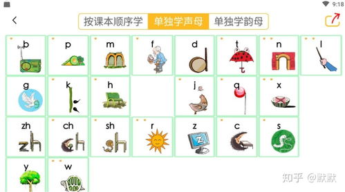 遮的拼音字母怎么组词
