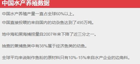 新闻联盟怎么组词啊