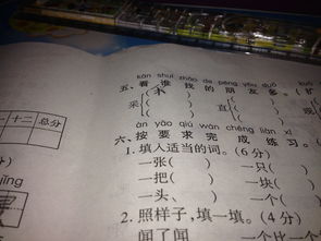 采字怎么组词语