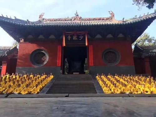 寺庙的似怎么组词
