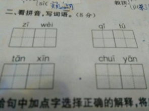 膛组词怎么组