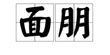 蓬松的朋怎么组词