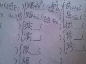 踏的组词有哪些