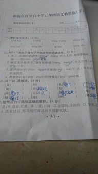 各组词怎么做